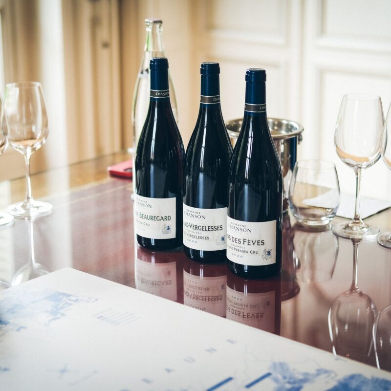 Bourgogne for begyndere: derfor koster Pinot Noir kassen